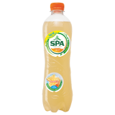 Spa Sinaasappel fruit koolzuurhoudend klein