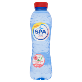 Spa Reine subtiel framboos en appel klein