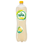 Spa Lemon cactus sparkling large